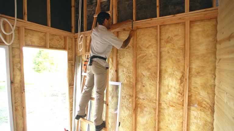 Best Spray Foam Insulation  in Andusia, AL